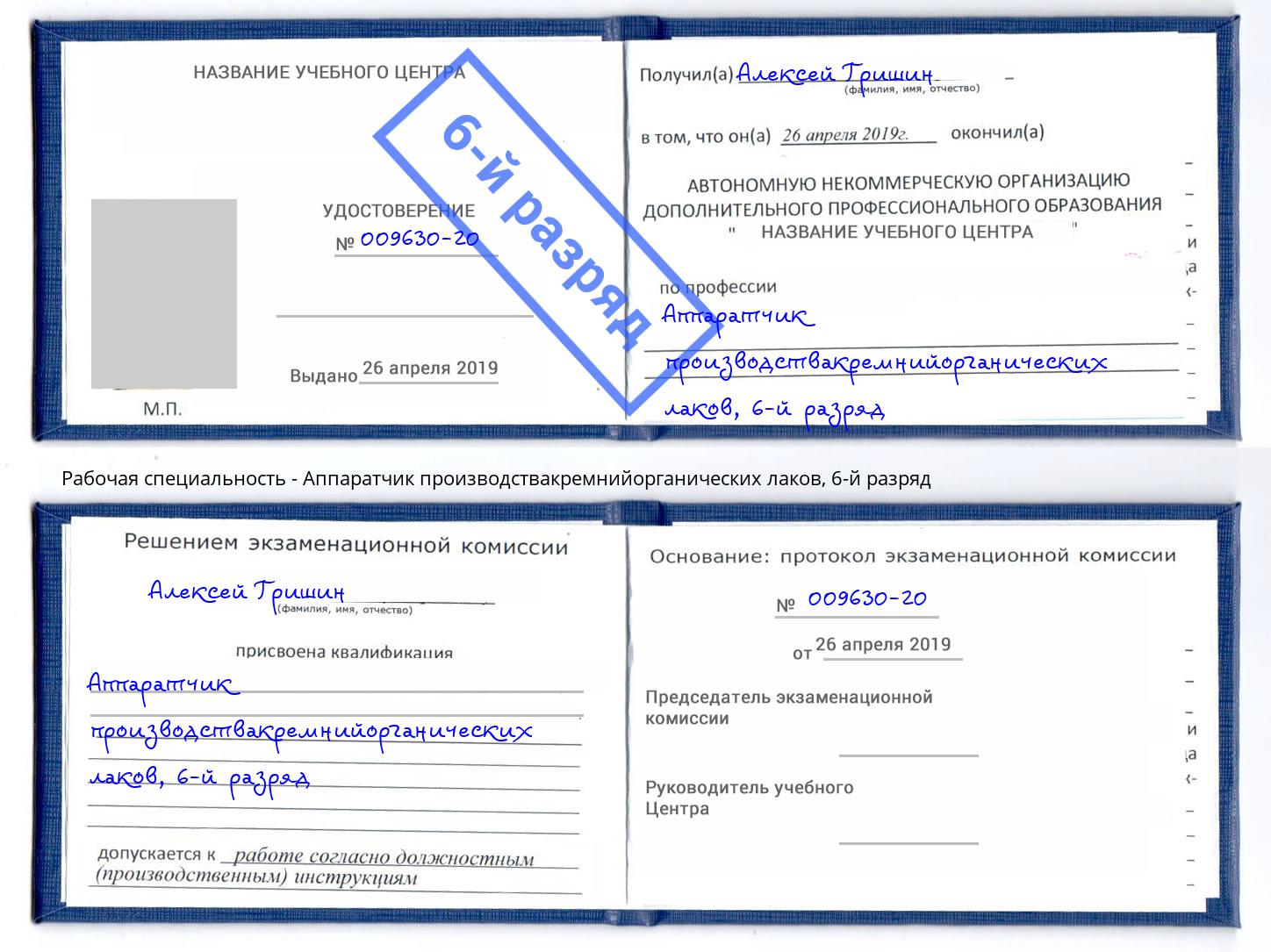 корочка 6-й разряд Аппаратчик производствакремнийорганических лаков Коломна